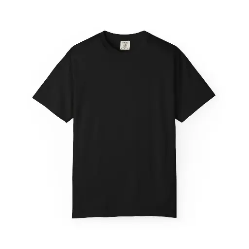 Plane Black T-Shirt